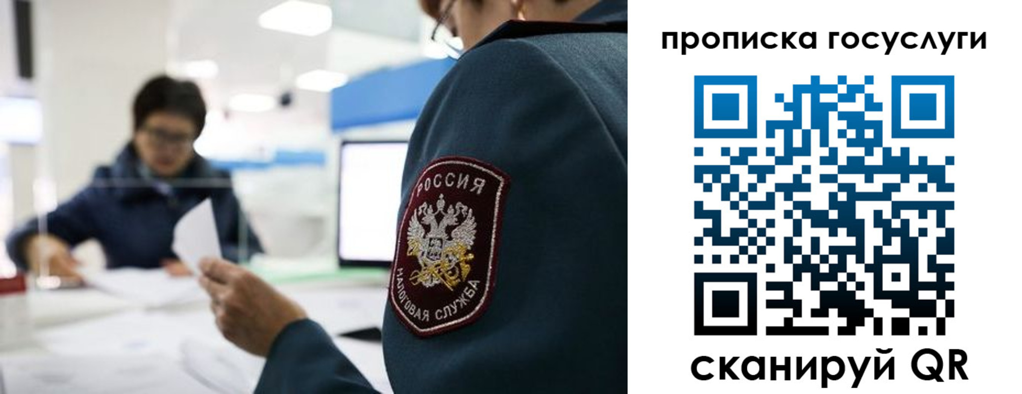 регистрация для школы в Мончегорске