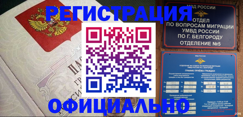 временная регистрация законно в Мончегорске